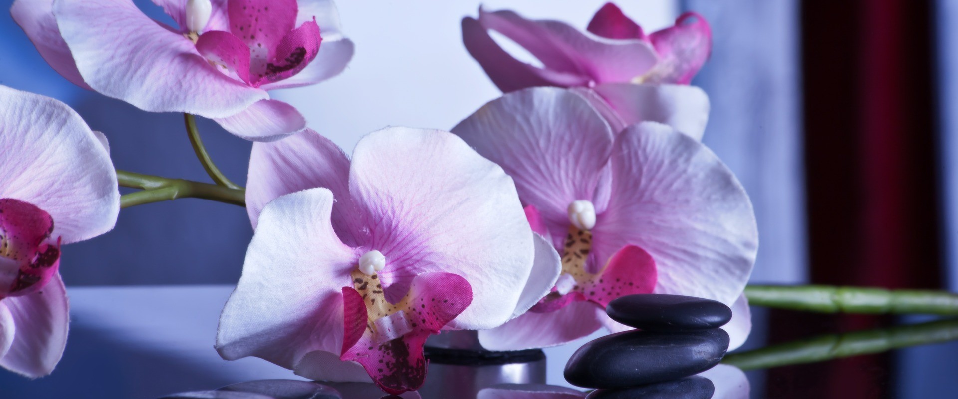 Korea Massage in Dubai