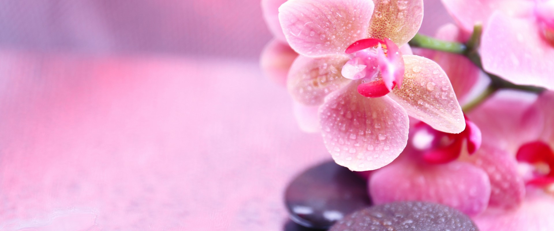 Full Body Massage in Dubai
