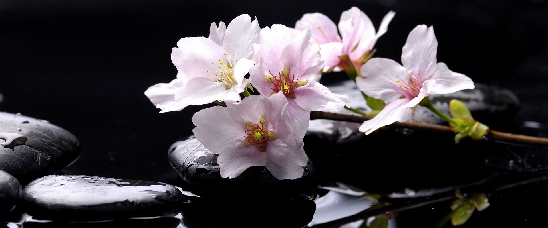 Deep Tissue Massage near Carrefour